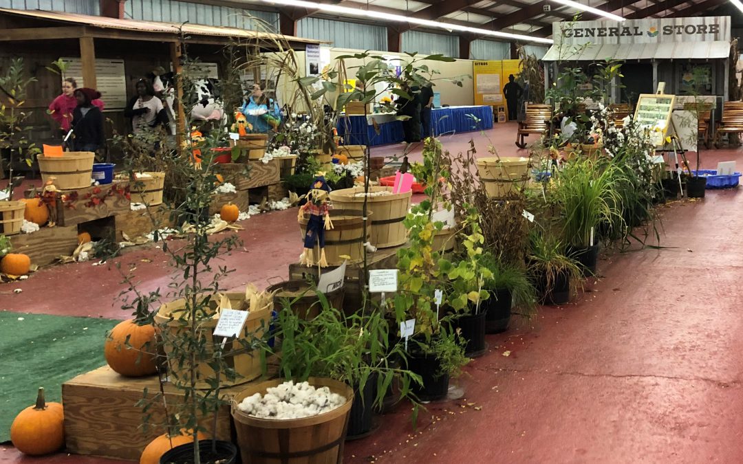 New Demonstrations in the UF/IFAS Extension Building at the North Florida Fair