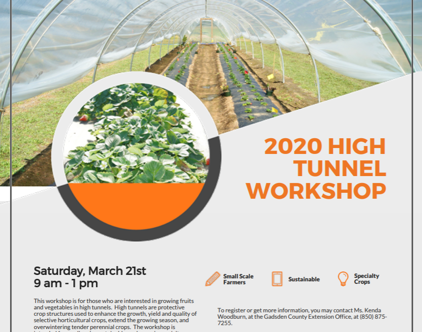 2020 High Tunnel Workshop