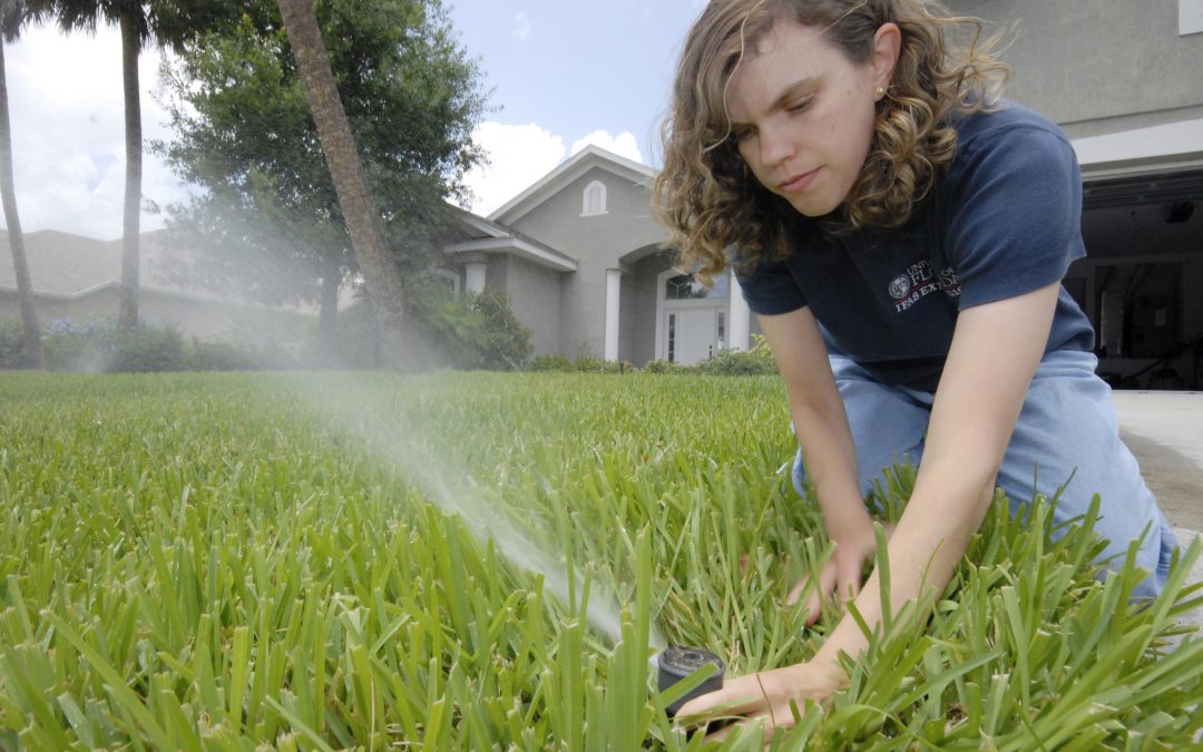 Spring Lawn Care Tips