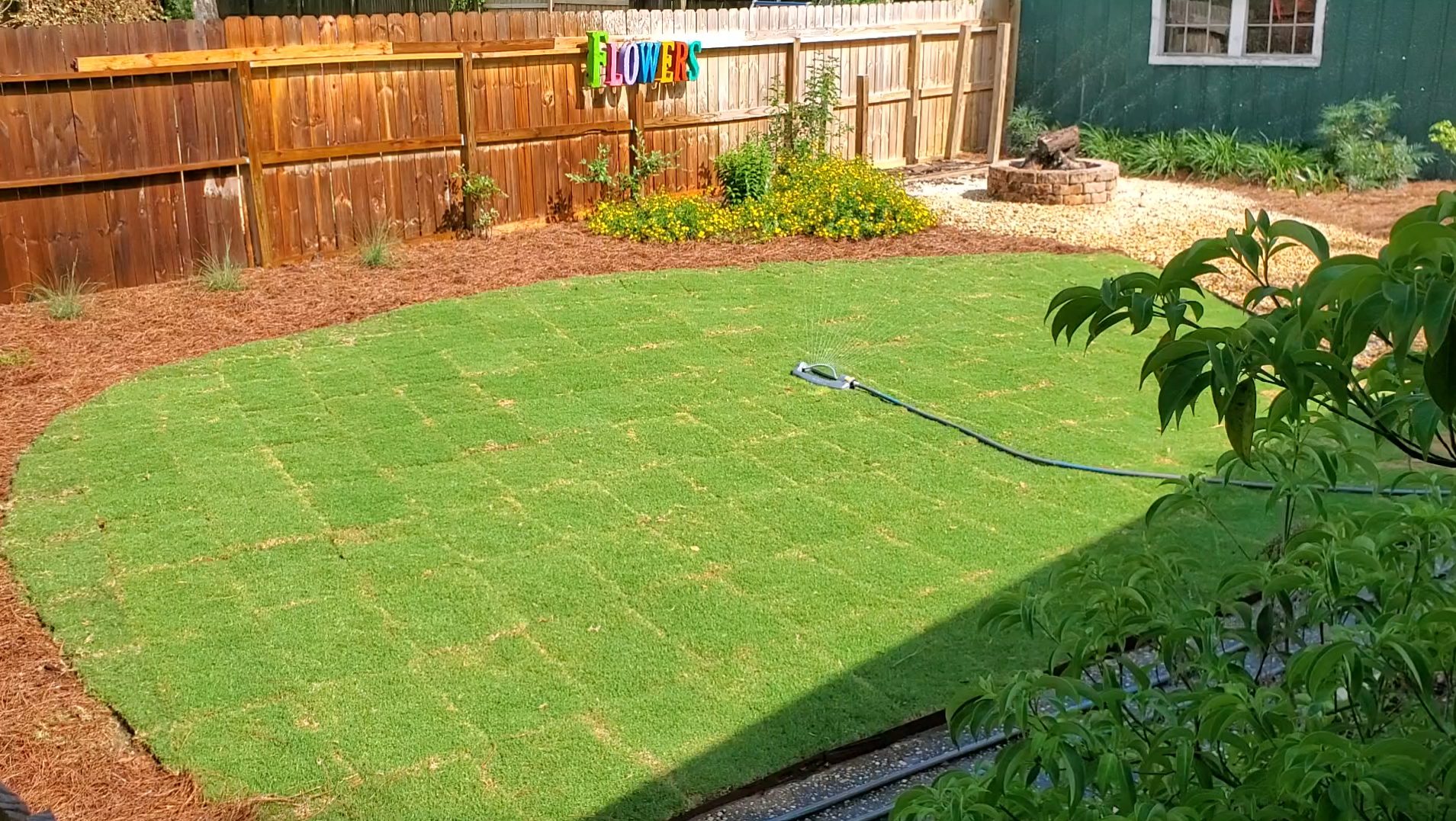 Is It Ok to Water New Turf in the Sun? 
