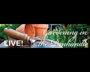 Gardening in the Panhandle logo