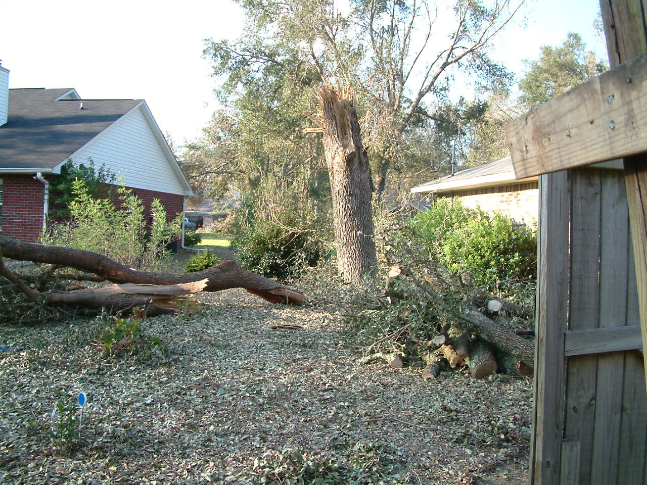 (Video) Prepare for the Storm Trees and Property Lines Gardening in