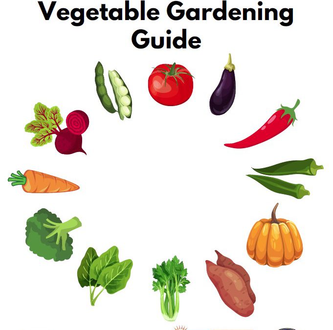 The North Florida Vegetable Gardening Guide