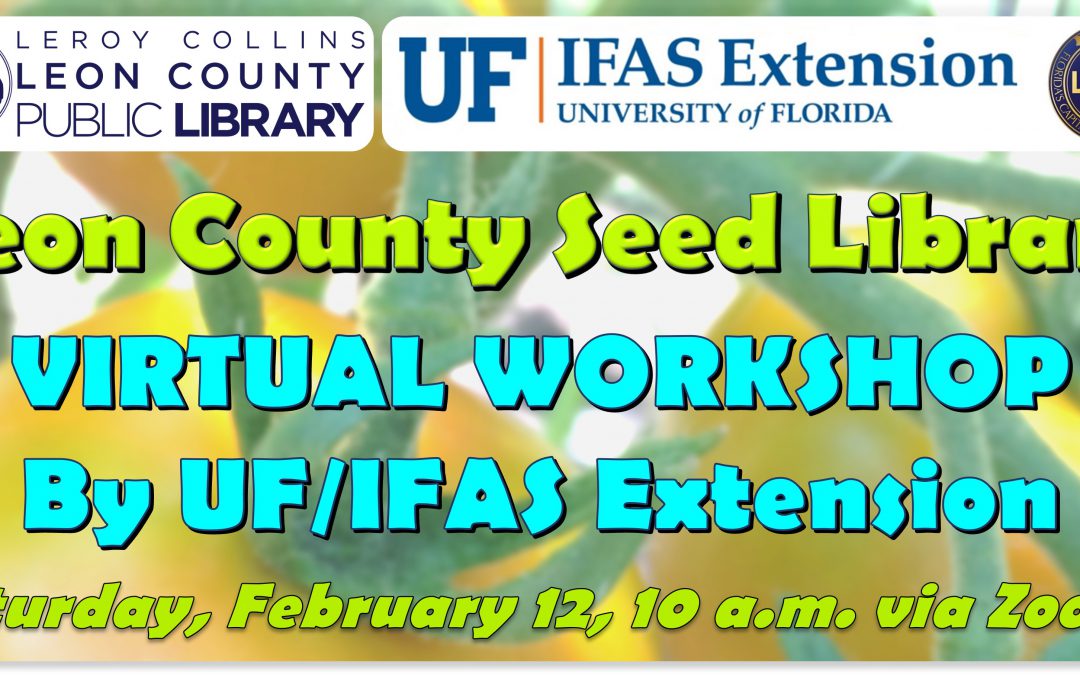 Leon County’s Spring Seed Library Program Starts February 12