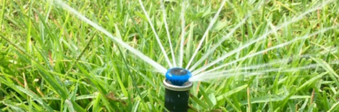 Calibrate Your Irrigation System for a Healthier Lawn