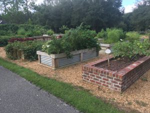 garden beds