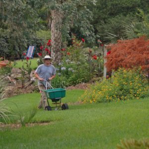 Gardener fertilizing yard