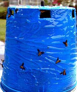 Deer fly trap as created by Dr. Russ Mizell