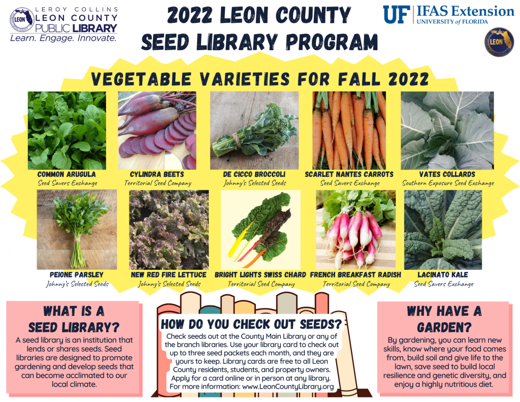 The vegetable varieties available starting August 13 for the Fall 2022 season of the Leon County Seed Library Program. Image by Molly Jameson.