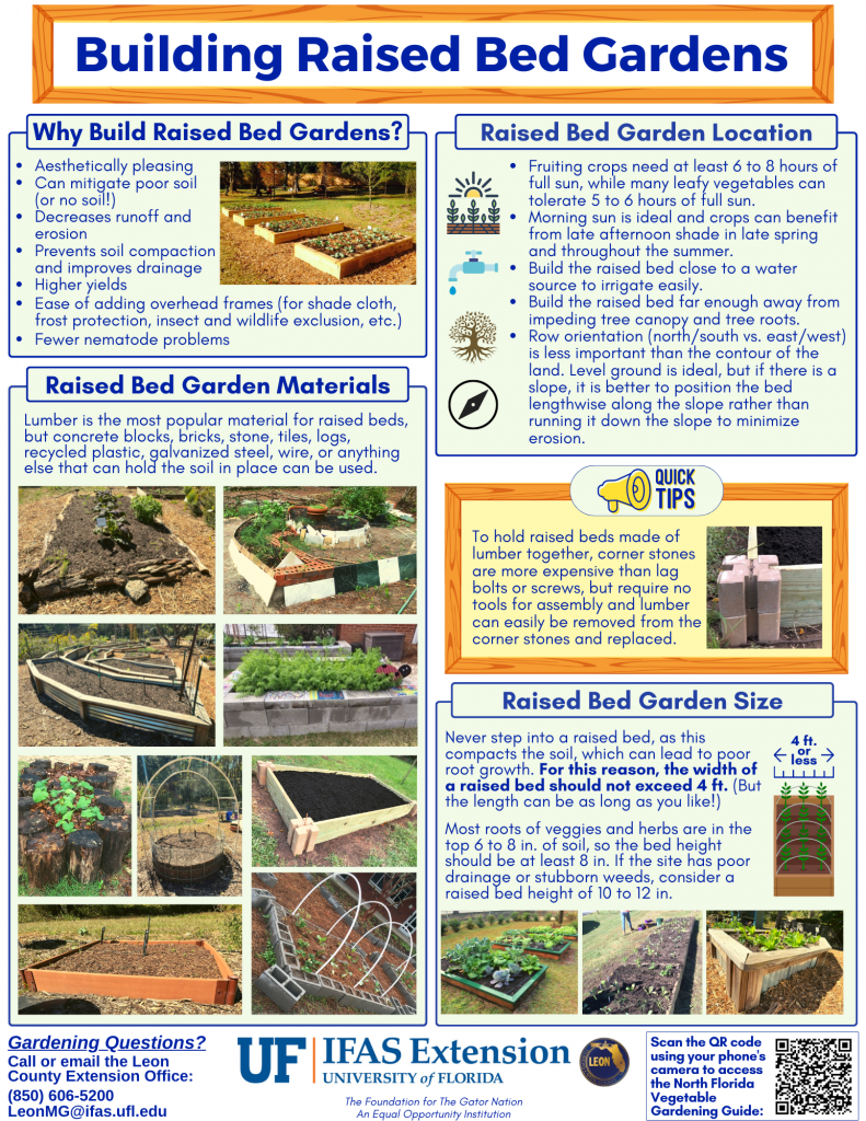 Page 1 of the Building Raised Bed Gardens Fact Sheet created by UF/IFAS Leon County.