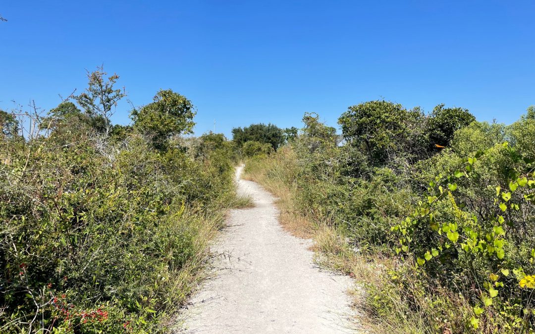 The Florida Trail