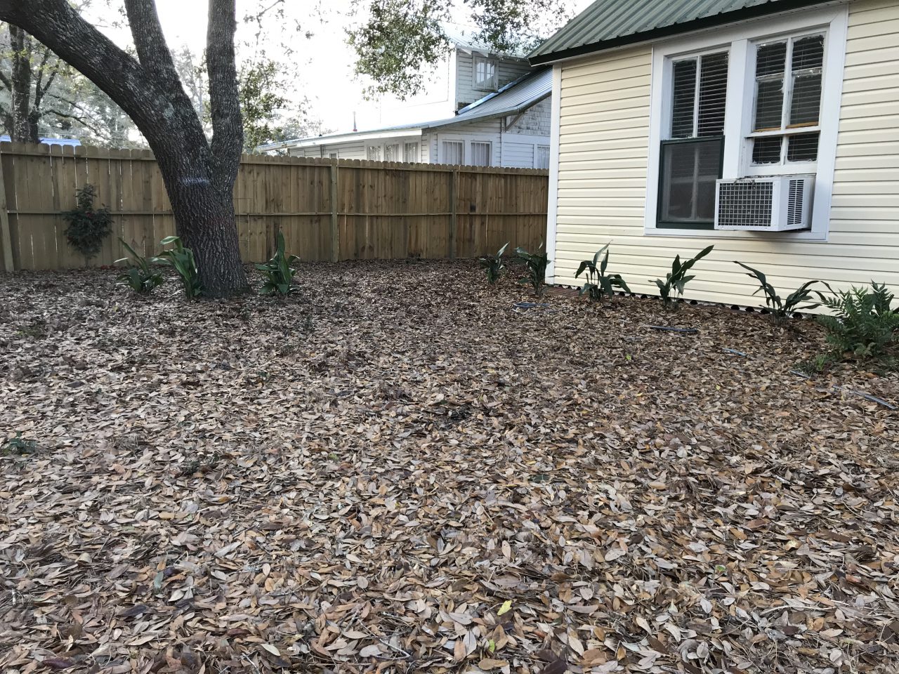 Mulch Guide for Panhandle Gardeners Gardening in the Panhandle