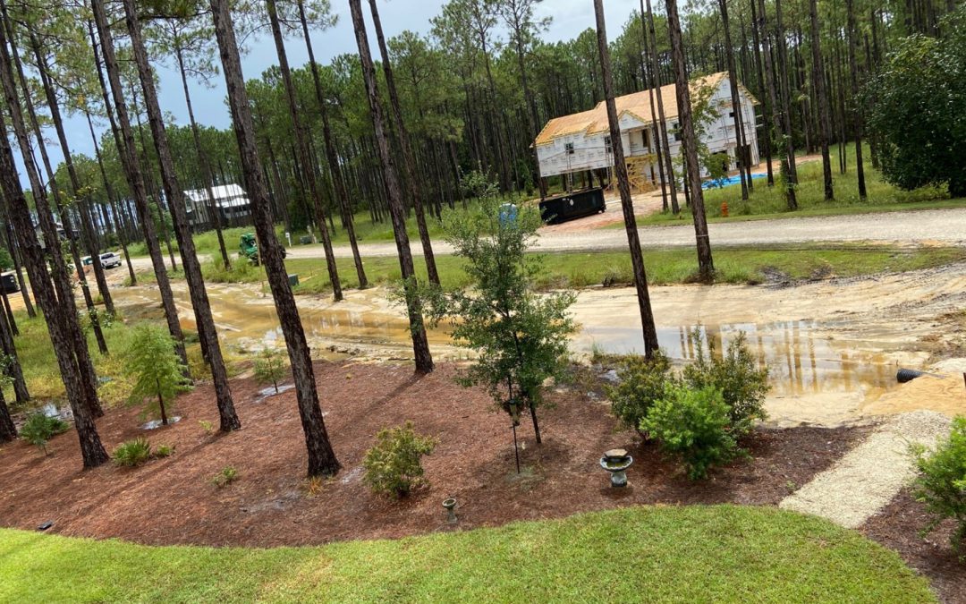 Landscaping in the Panhandle of Florida: Opportunities & Challenges