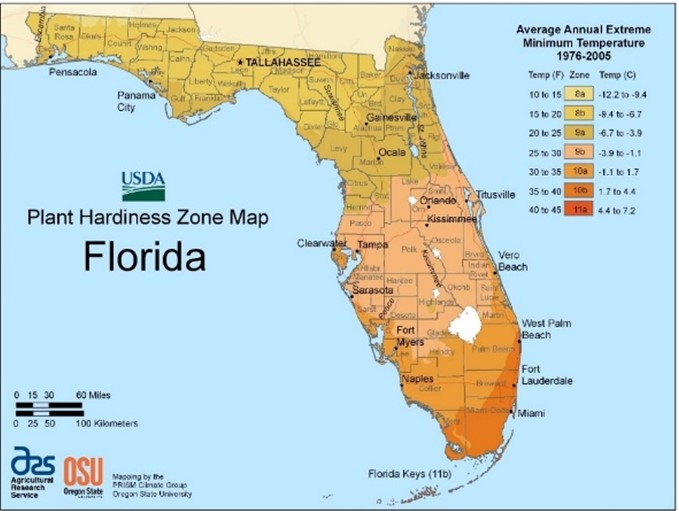 Figure 4. Hardiness zones in Florida (http://planthardiness.ars.usda.gov). 