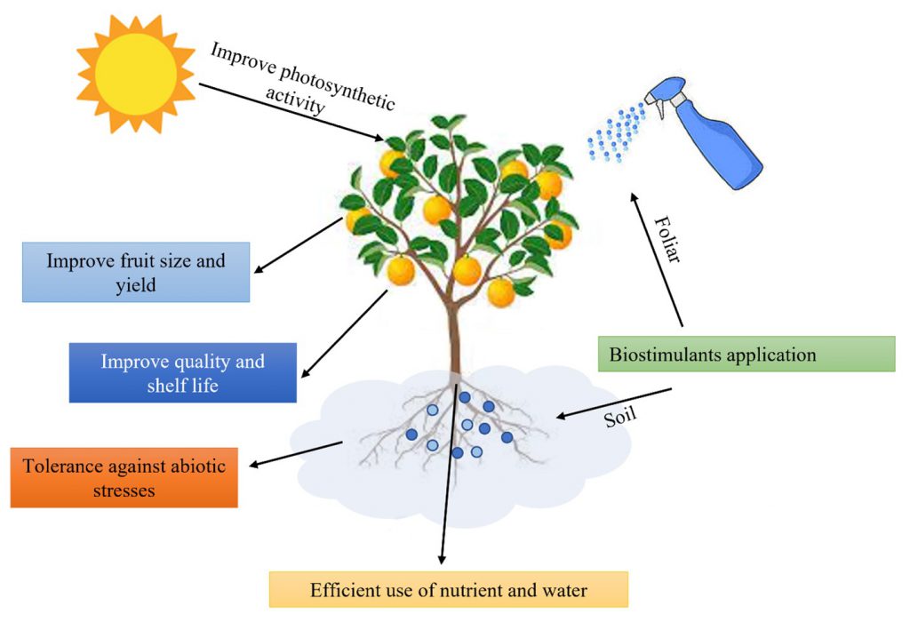 Biostimulant Application