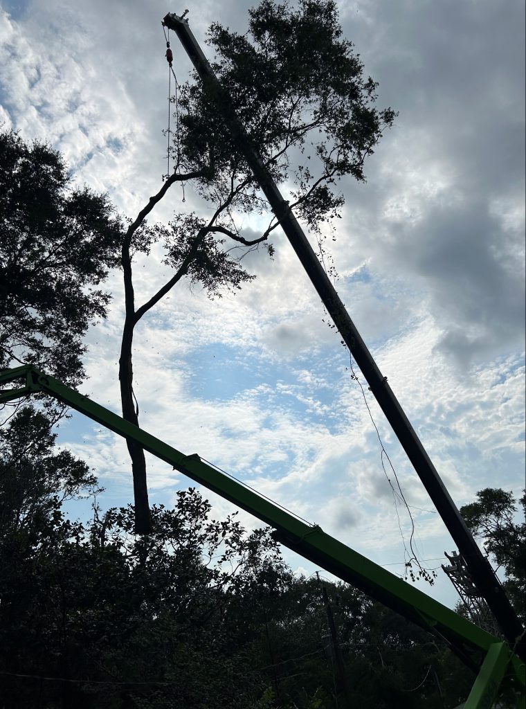 A crane used in conjunction with a boom lift to cut and lift trees off of a house