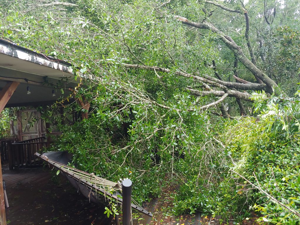 Trees laying on the corner of a house 