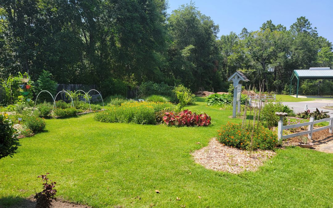 Thriving Landscapes in Low Water Conditions