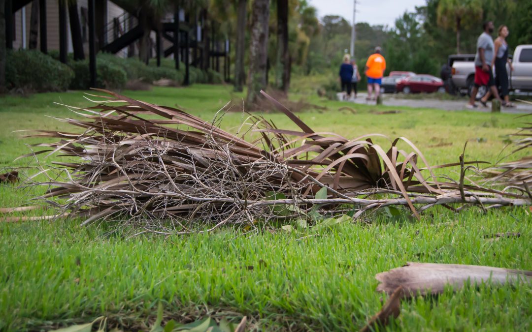 Storm Cleanup an Opportunity for Practicing Florida Friendly Landscaping Principles