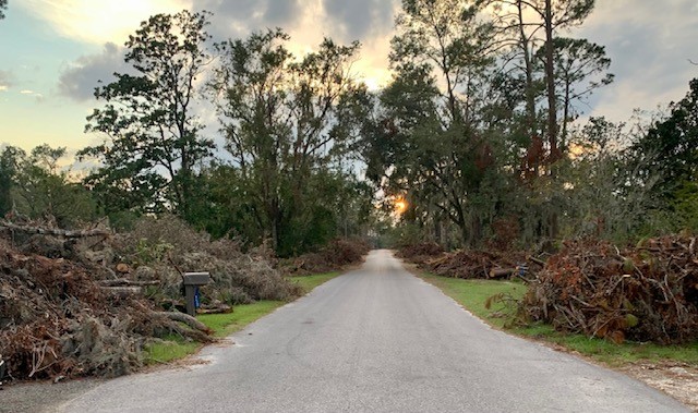Tree debris along street following hurricane Idalia in Perry, FL