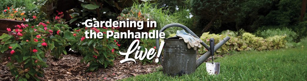 Gardening in the Panhandle Live banner