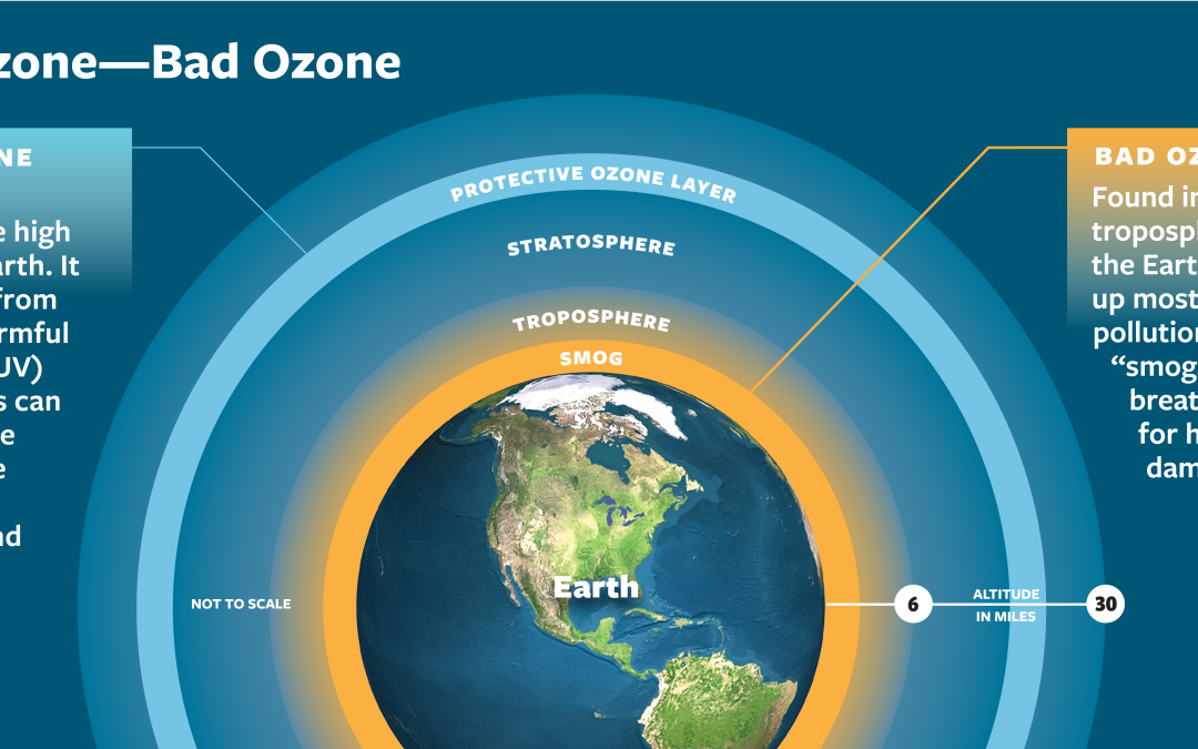 Ozone Sensitive Plants