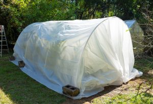 A temporary hoop house can be constructed using PVC pipes as the frame and polyethylene film as the covering to protect cold-sensitive plants during freezes.