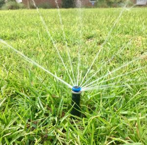 Lawn irrigation spray head operating