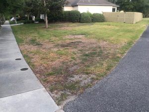 declining lawn