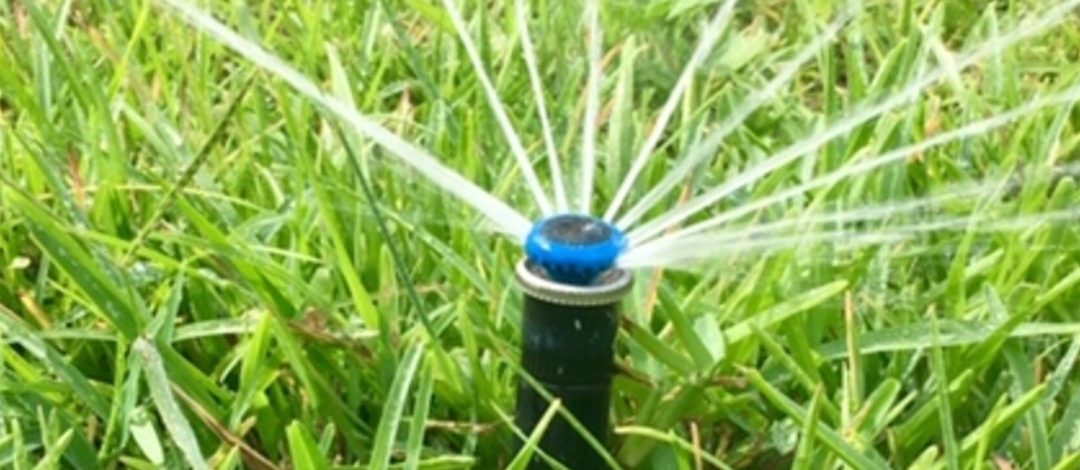 Watering to Establish a New Lawn
