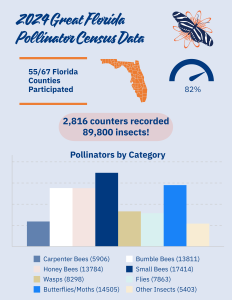 Infographic