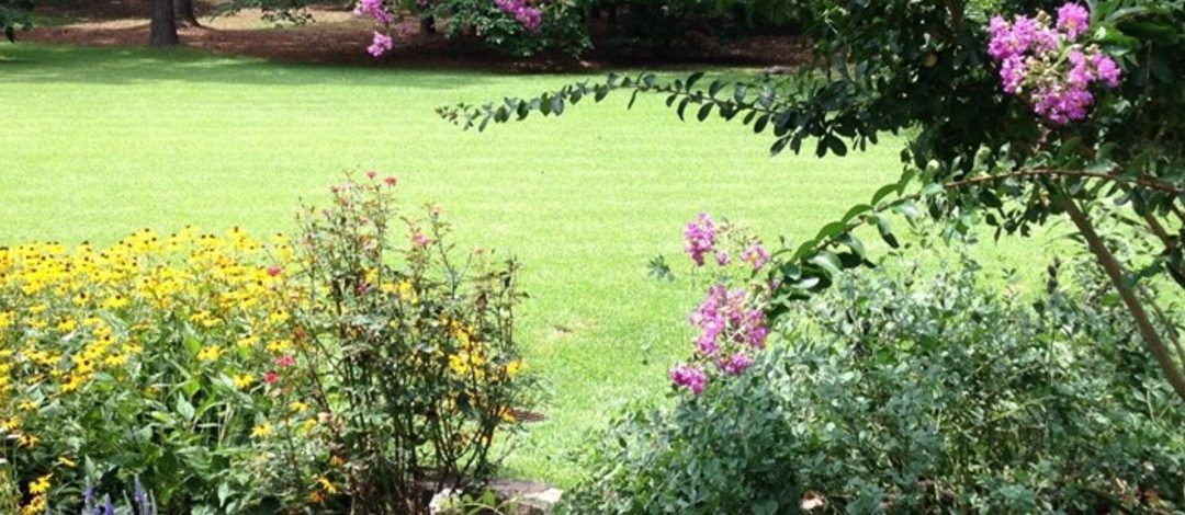 Summer is Too Hot for Lawn Herbicides