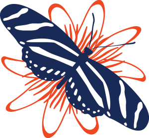 Butterfly graphic