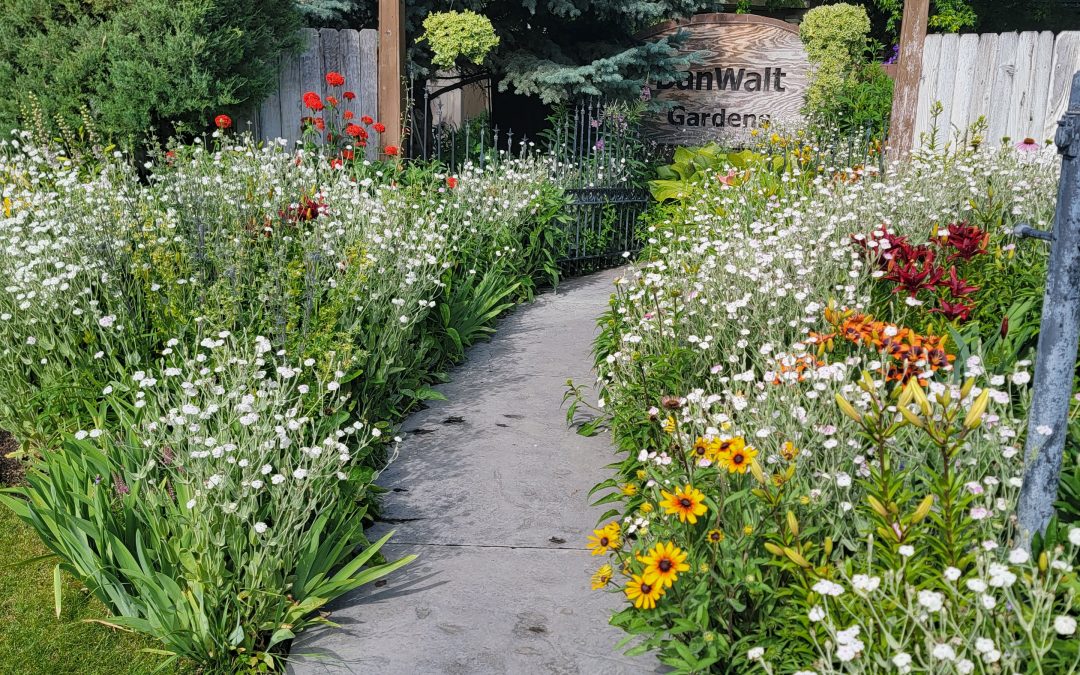 Why Say No to Invasive Species