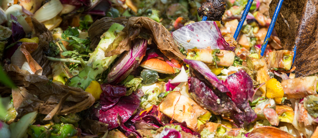 Nature’s Recycling: The Art of Composting