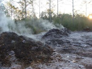 Several large outdoor compost piles releasing steam during decomposition.