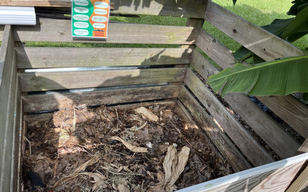 The Dirt on Compost: Hot and Worm Composting at Home