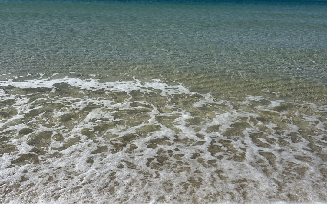 Land, Water, and Lawns: Why Everyday Choices Matter