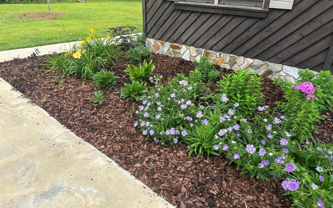 Mulch is a Must in Your Landscape
