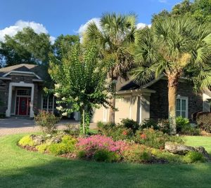 Planted area with many microclimates