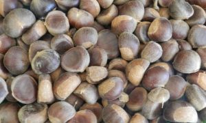Chestnuts
