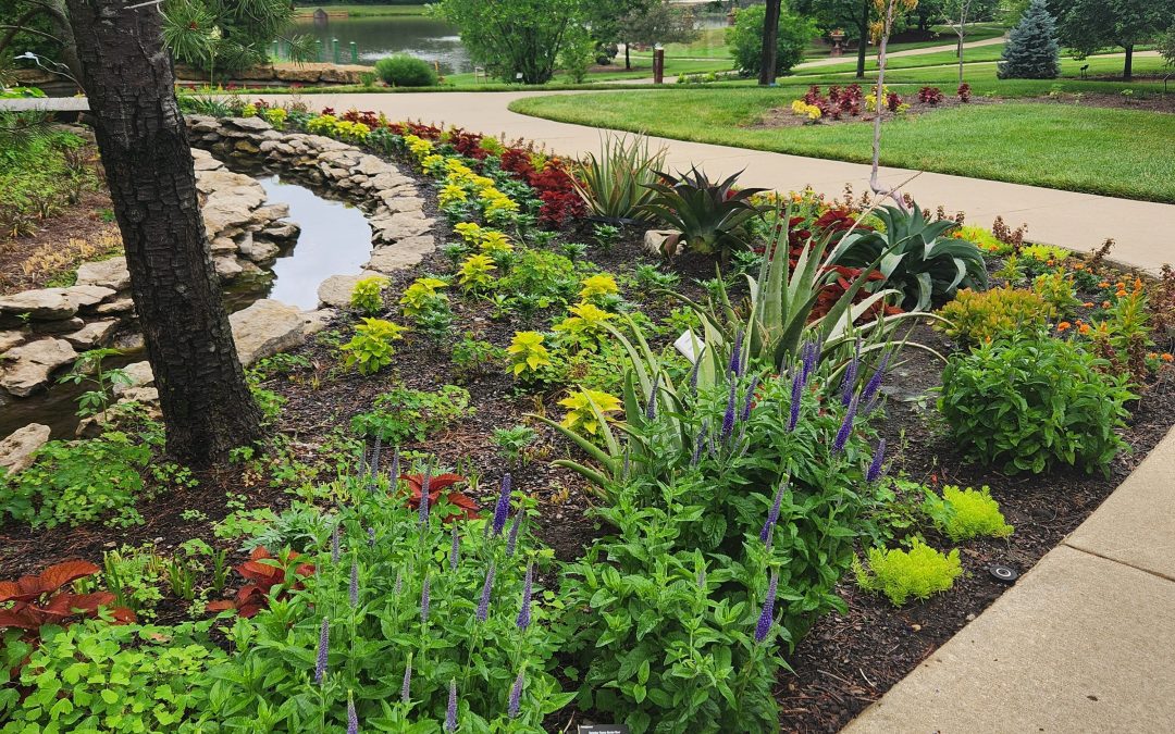 Winter Bliss and Climate Challenges in North Florida Gardens