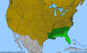 Map of saw palmetto range.