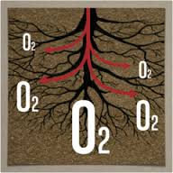 root oxygen