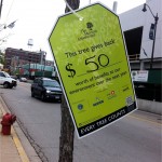 This street tree in Chicago was given a price tag to raise awareness of its value. Photo credit: Eric Stevenson