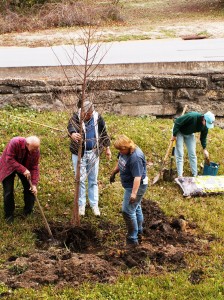 Four people planting a tree