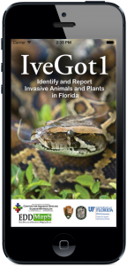Map and identify invasives with "IveGot1"
