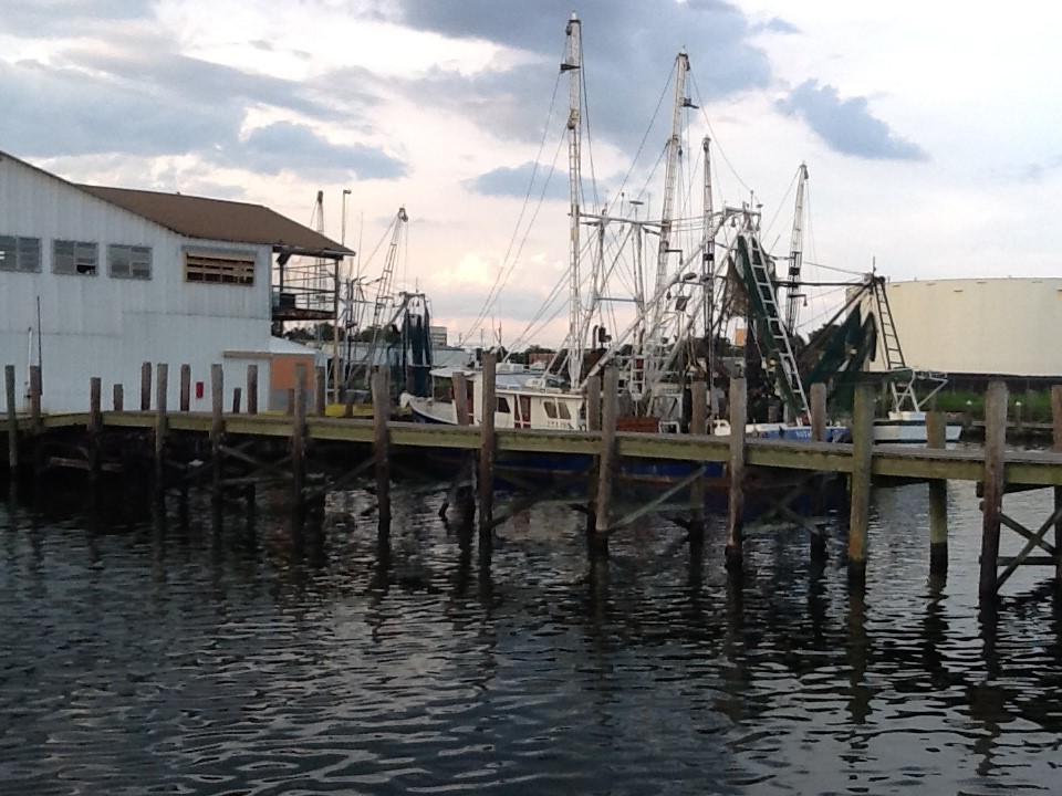 The Status of Commercial Fishing and Aquaculture in the U.S. and Florida