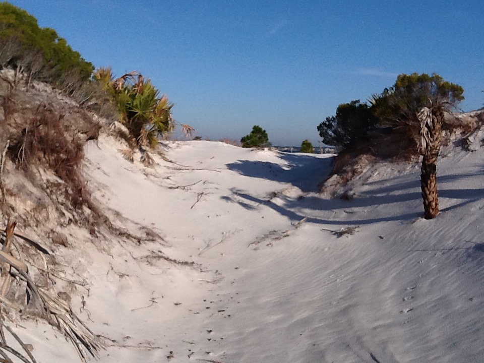 Discovering Florida’s Panhandle – Our Barrier Islands – January