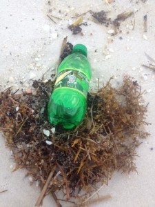 A variety of plastics ends up in the Gulf.  Each is a potential problem for marine life.  Photo: Rick O'Connor